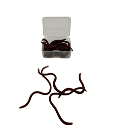 LOMBRIZ ARTIFICIAL BLANDO EN CAJA X 20 UNIDADES